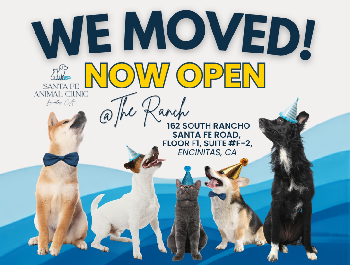 Welcome to Our New Home at The Ranch