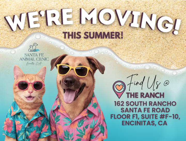 Santa Fe Animal Clinic is moving to a spacious New Location in Encinitas!