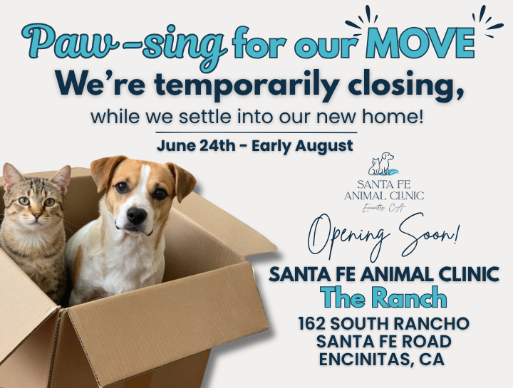Exciting News: Santa Fe Animal Clinic Is Moving | Temporary Transition Update